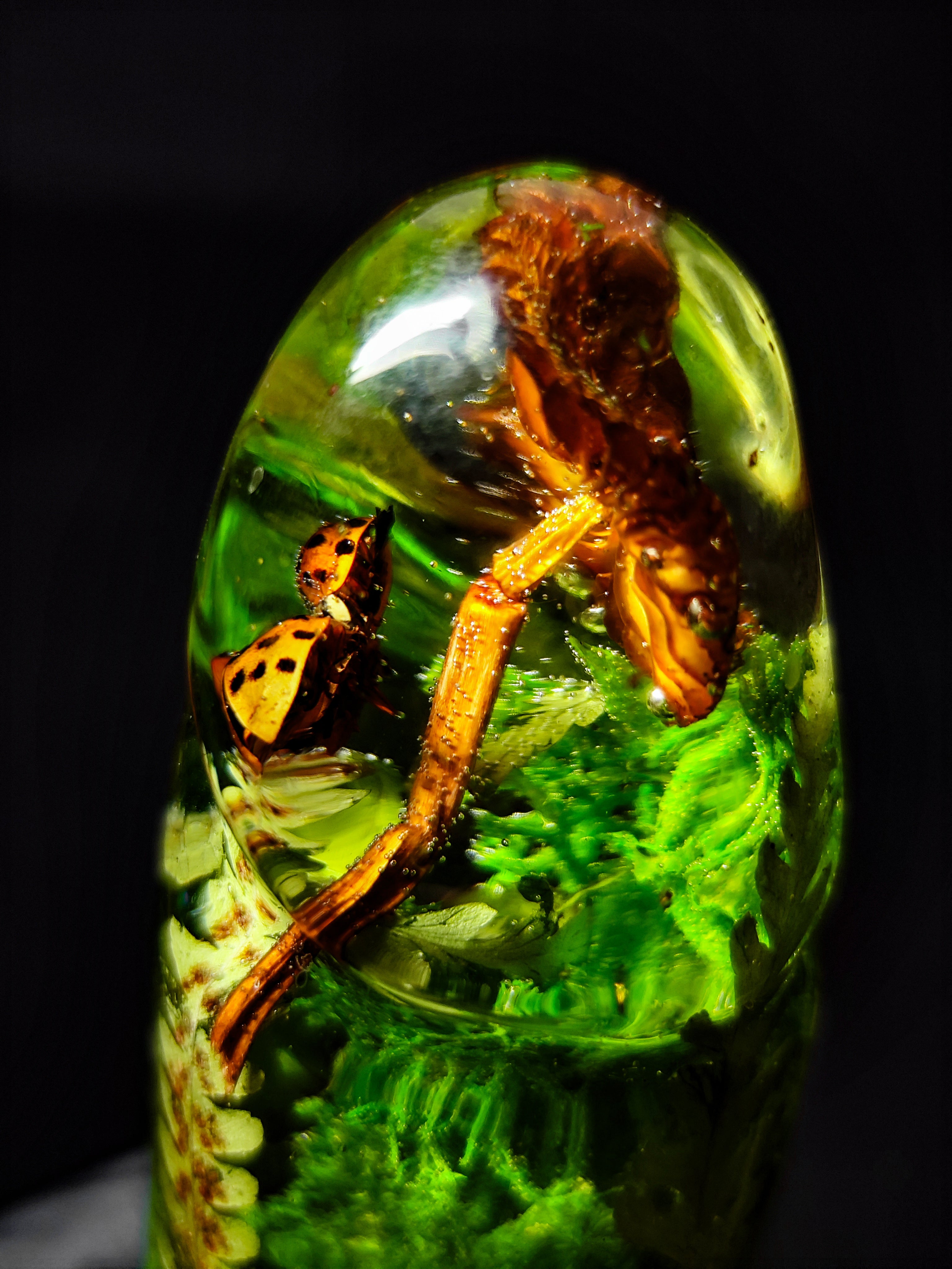 🍄‍🟫🐞Sculpture with Mushroom, Ladybug, Fern, Moss, Eucalyptus(16cm|6.3in|free shipping|handmade)🪴