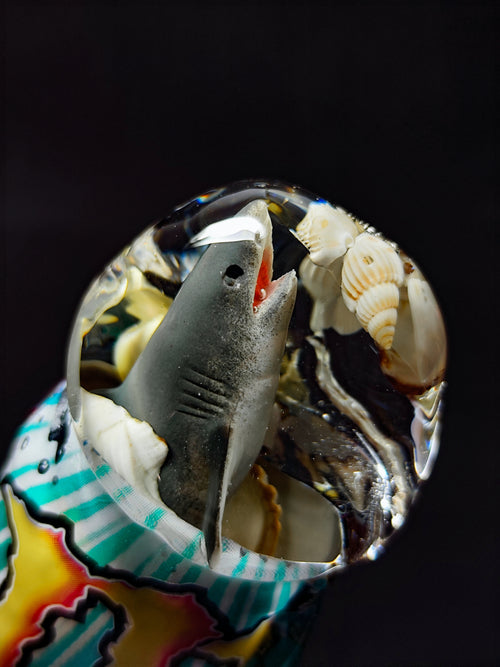 ⚡🦈Energy drink (22cm|8.6in|free shipping)