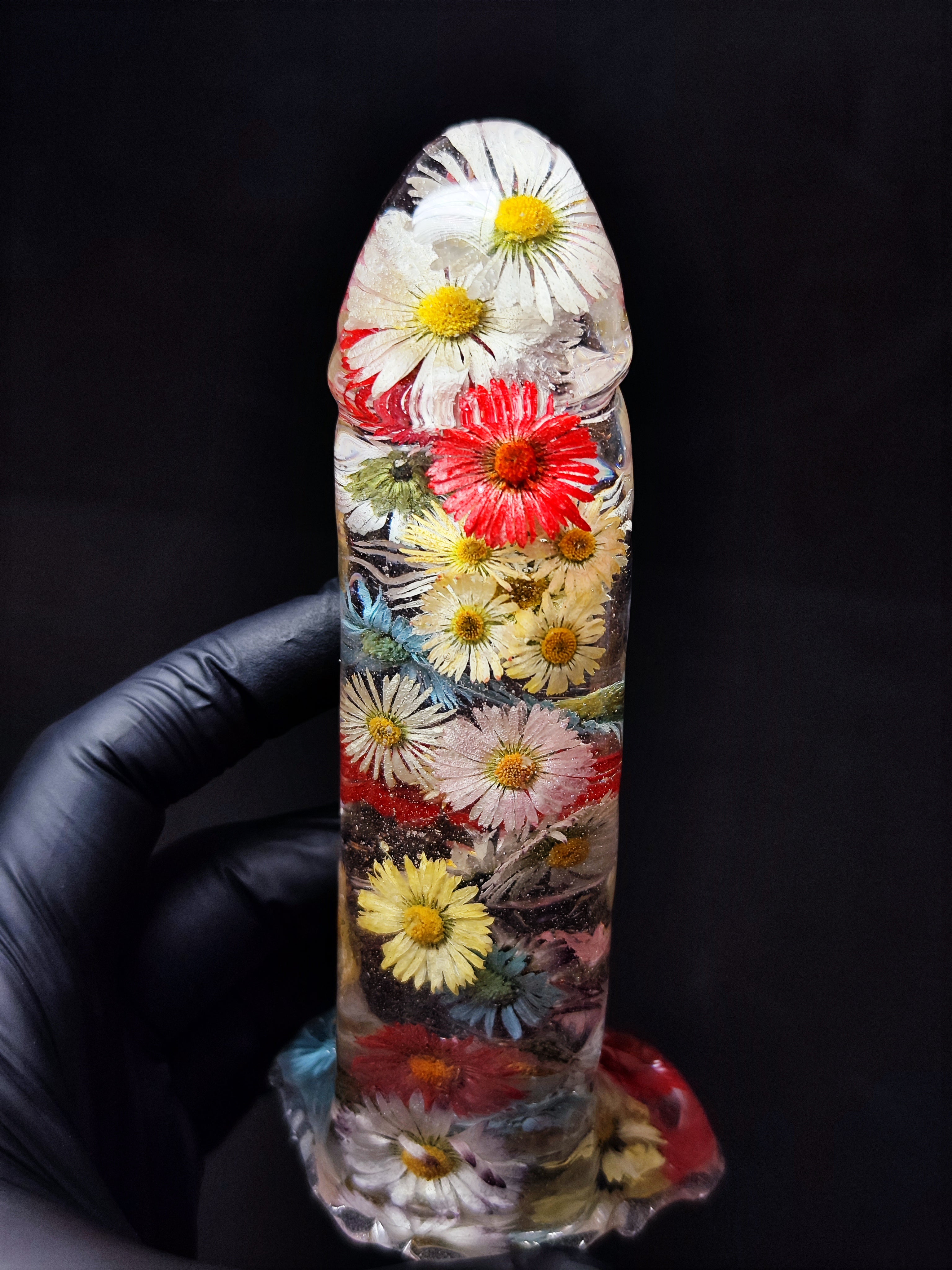 🌈Daisies(16cm|6.3in|free shipping)