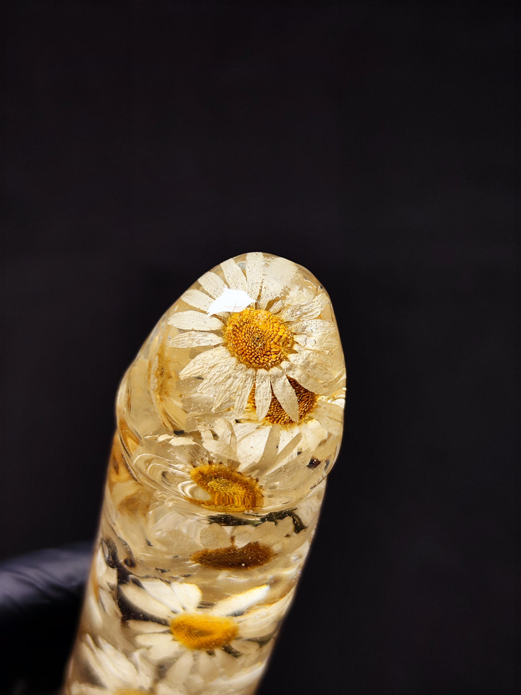 🤍Daisies(16cm|6.3in|free shipping)