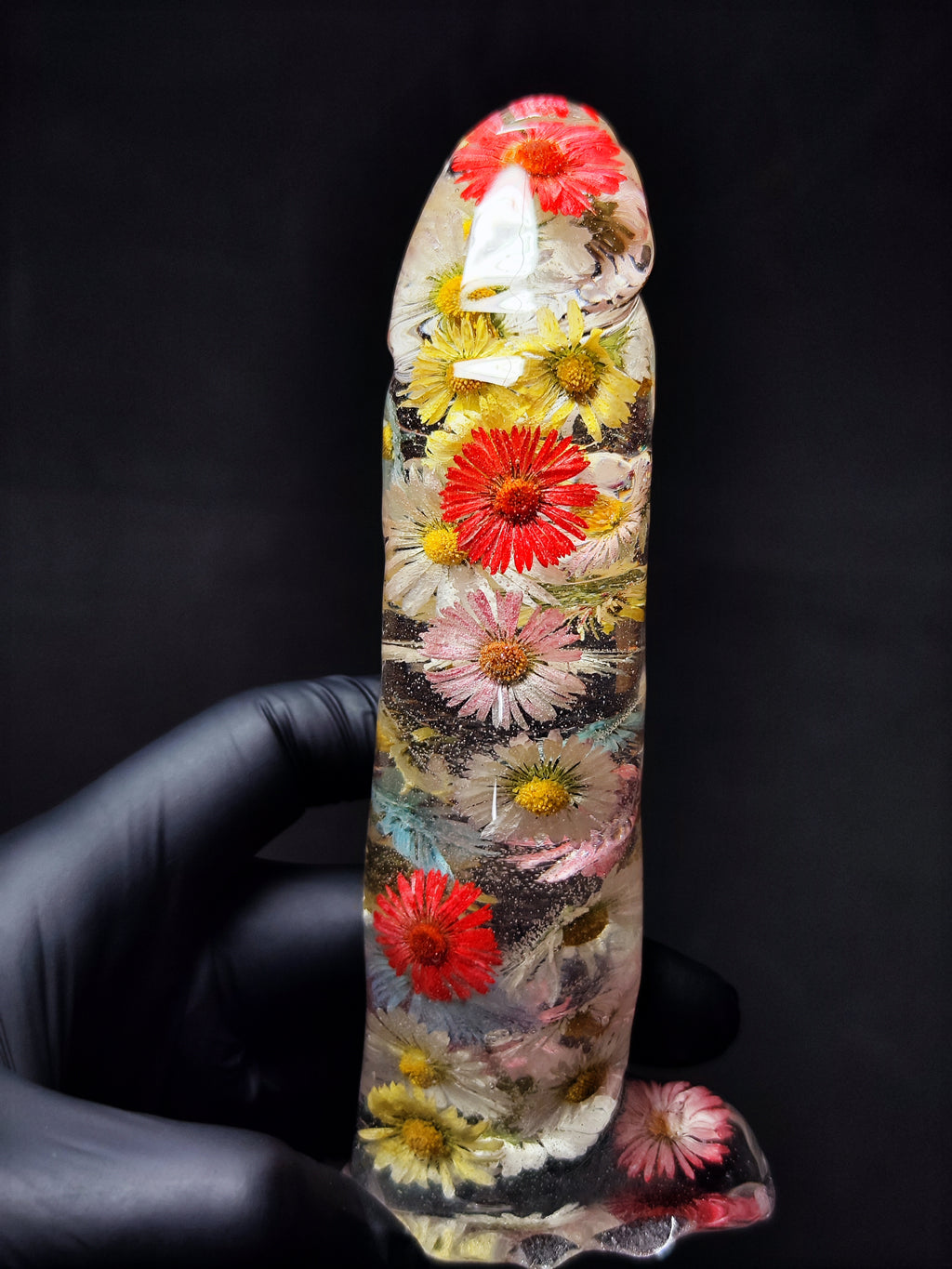 🌈Daisies(16cm|6.3in|free shipping)