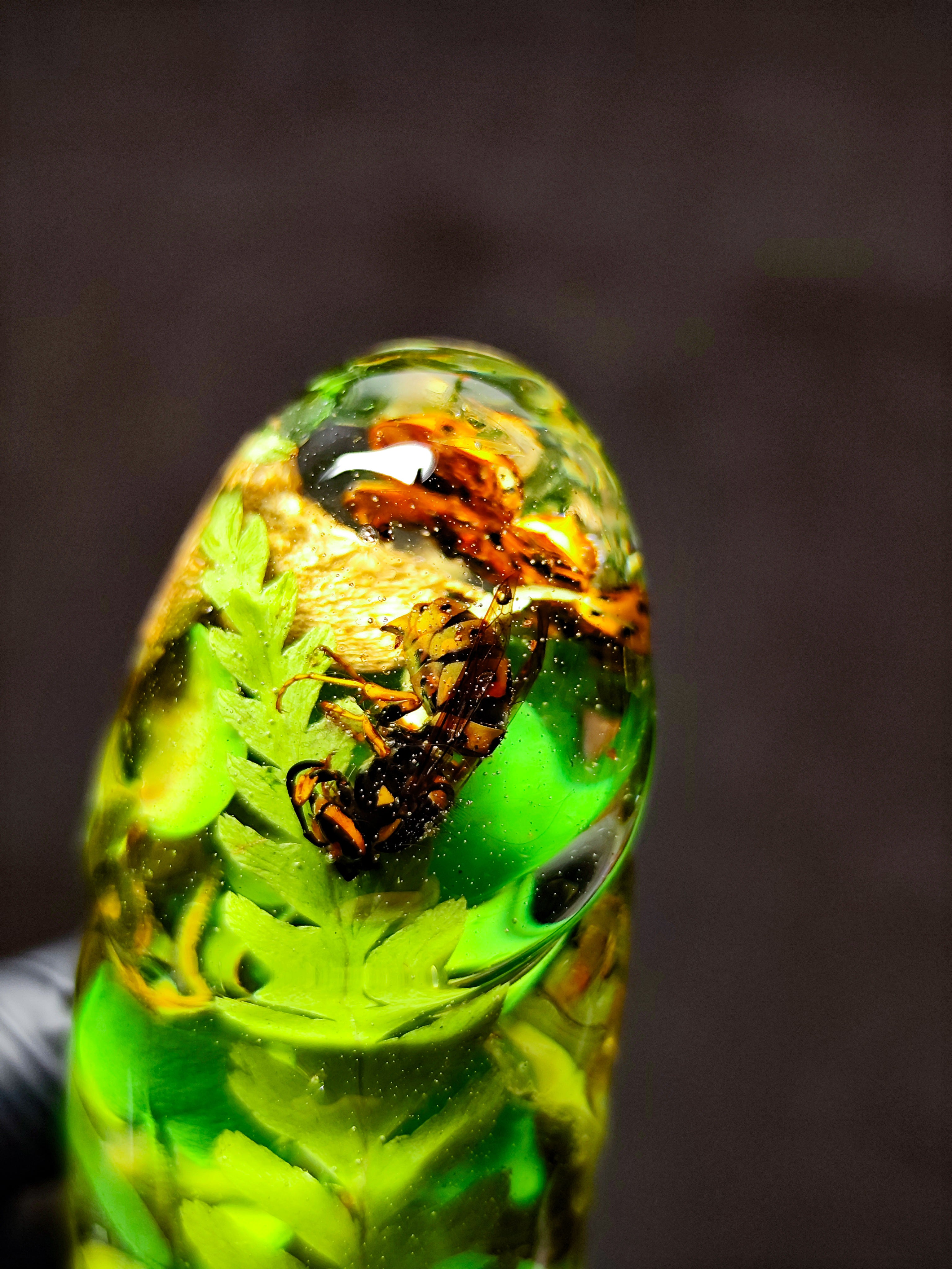 🌿🐝🍄‍🟫🐞Handmade Epoxy Resin Sculpture with Wasp, Ladybug, Mushroom, Fern, Moss(16cm|6.3in|free shipping)