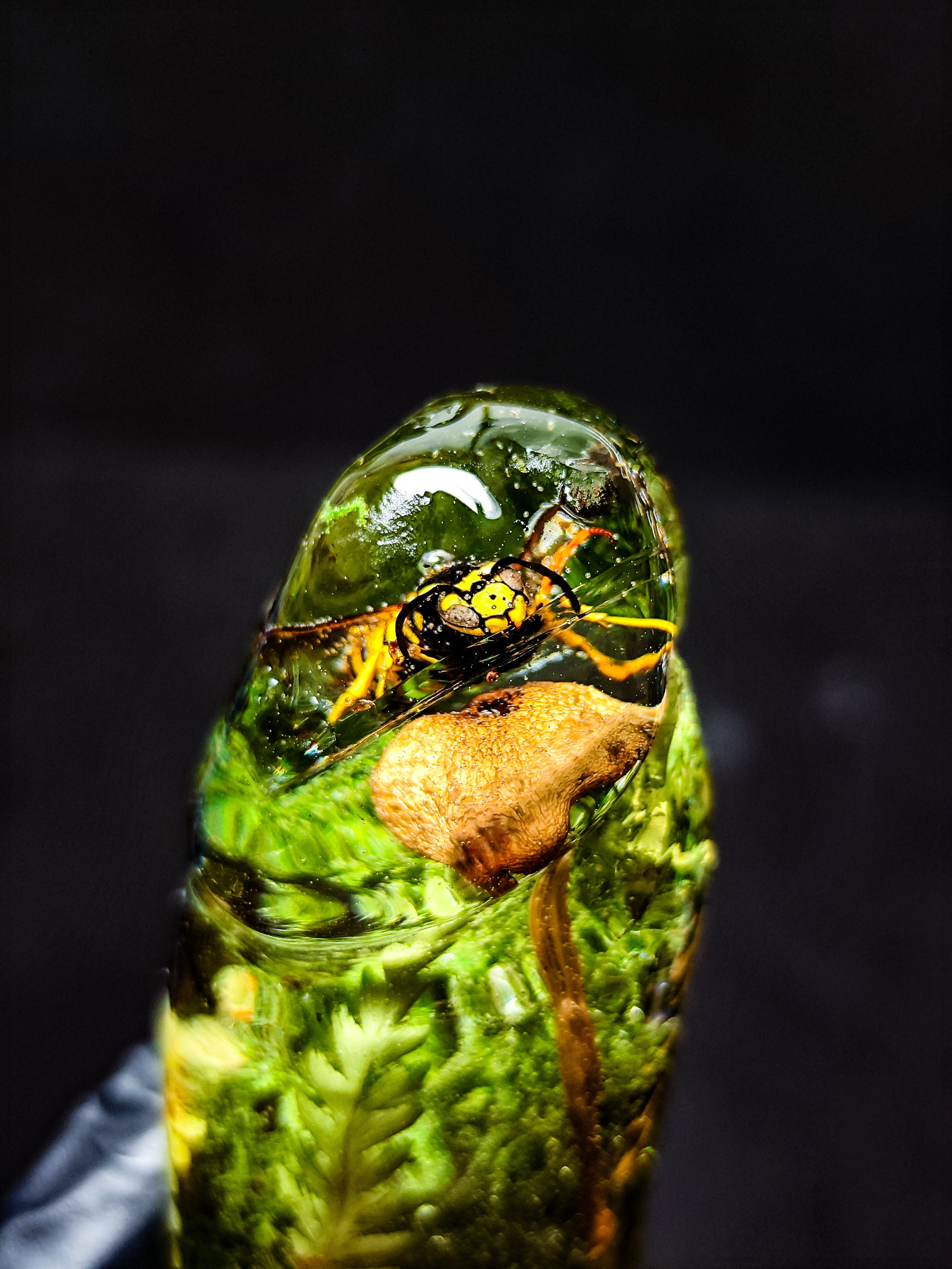 🌿🐝🍄‍🟫Handmade Epoxy Resin Sculpture with Wasp, Mushroom, Fern, Moss(16cm|6.3in|free shipping)