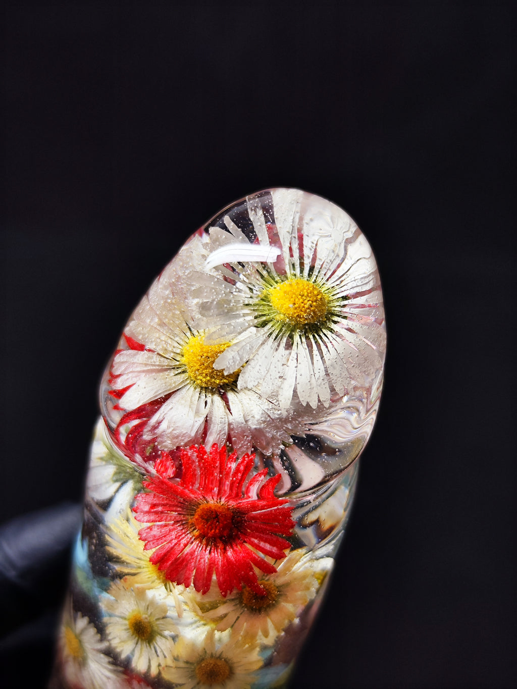 🌈Daisies(16cm|6.3in|free shipping)