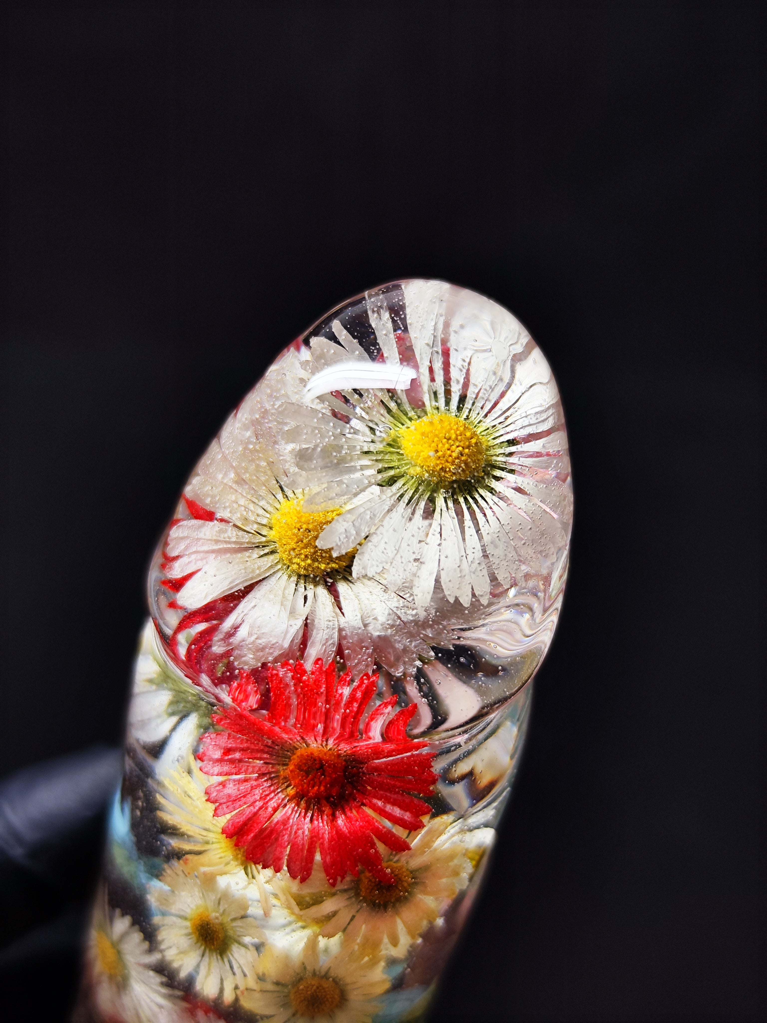 🌈Daisies(16cm|6.3in|free shipping)