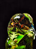 🌿🐝Handmade Epoxy Resin Sculpture with Hornet, Eucalyptus, Fern, Moss(22cm|8.6in|free shipping)