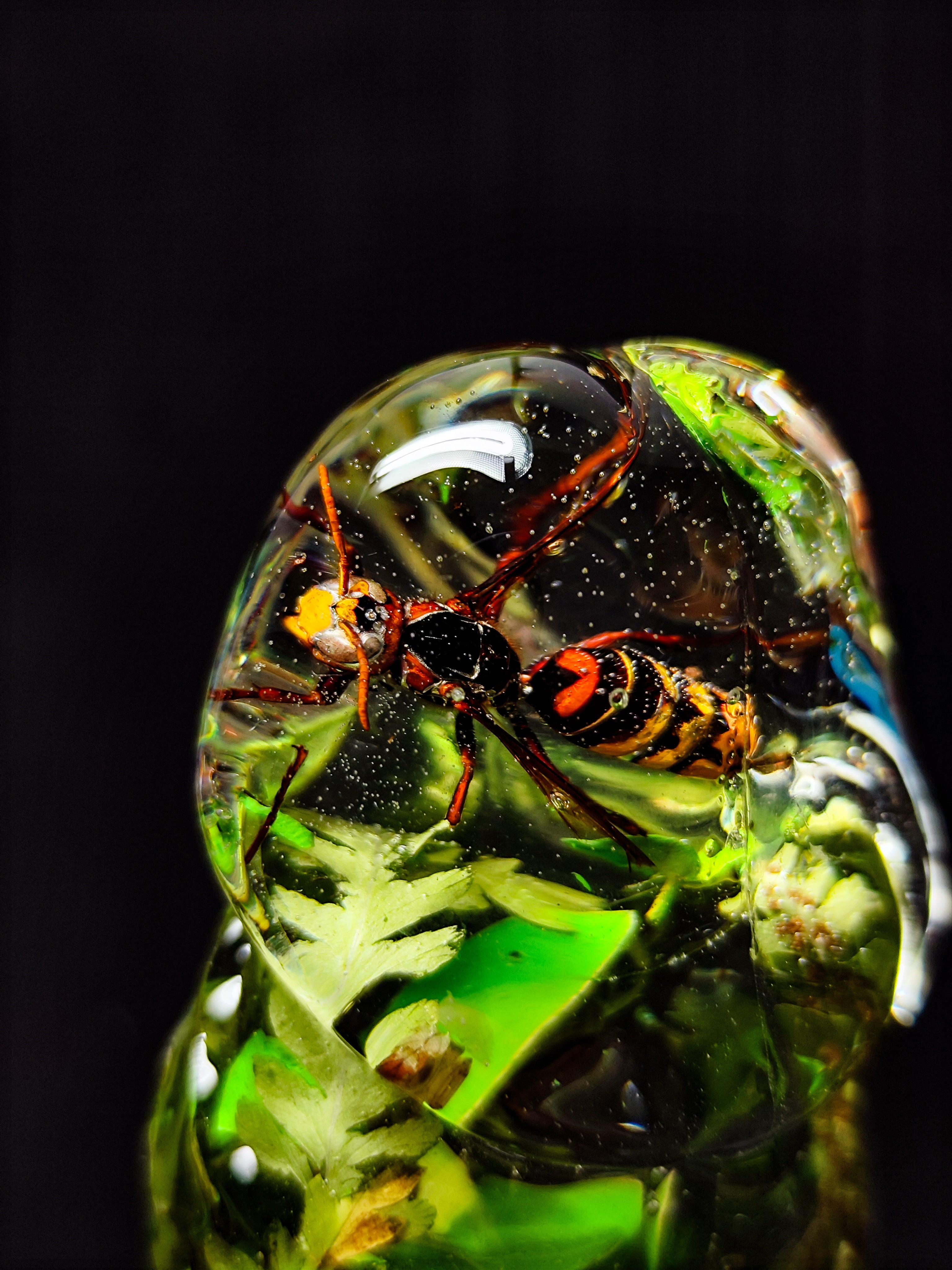 🌿🐝Handmade Epoxy Resin Sculpture with Hornet, Eucalyptus, Fern, Moss(22cm|8.6in|free shipping)