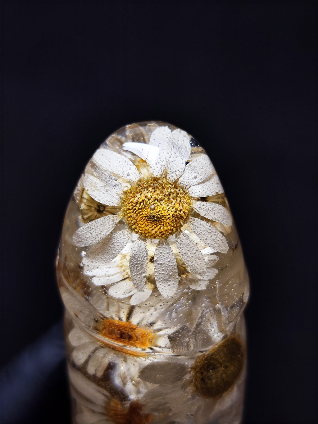 🤍Daisies(16cm|6.3in|free shipping)