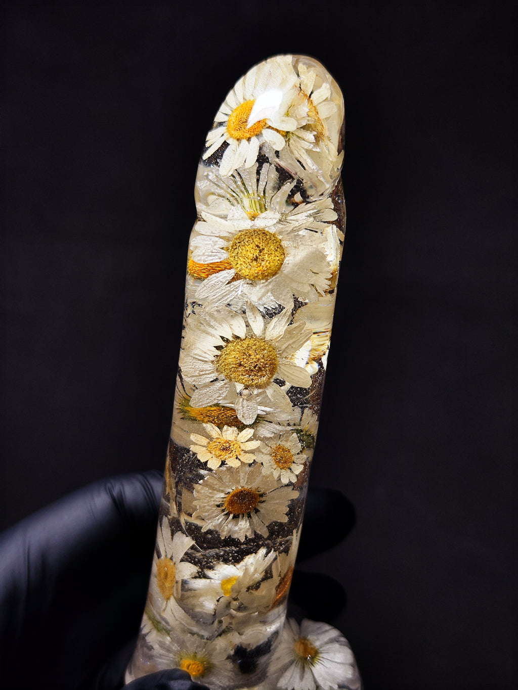 🤍Daisies(16cm|6.3in|free shipping)