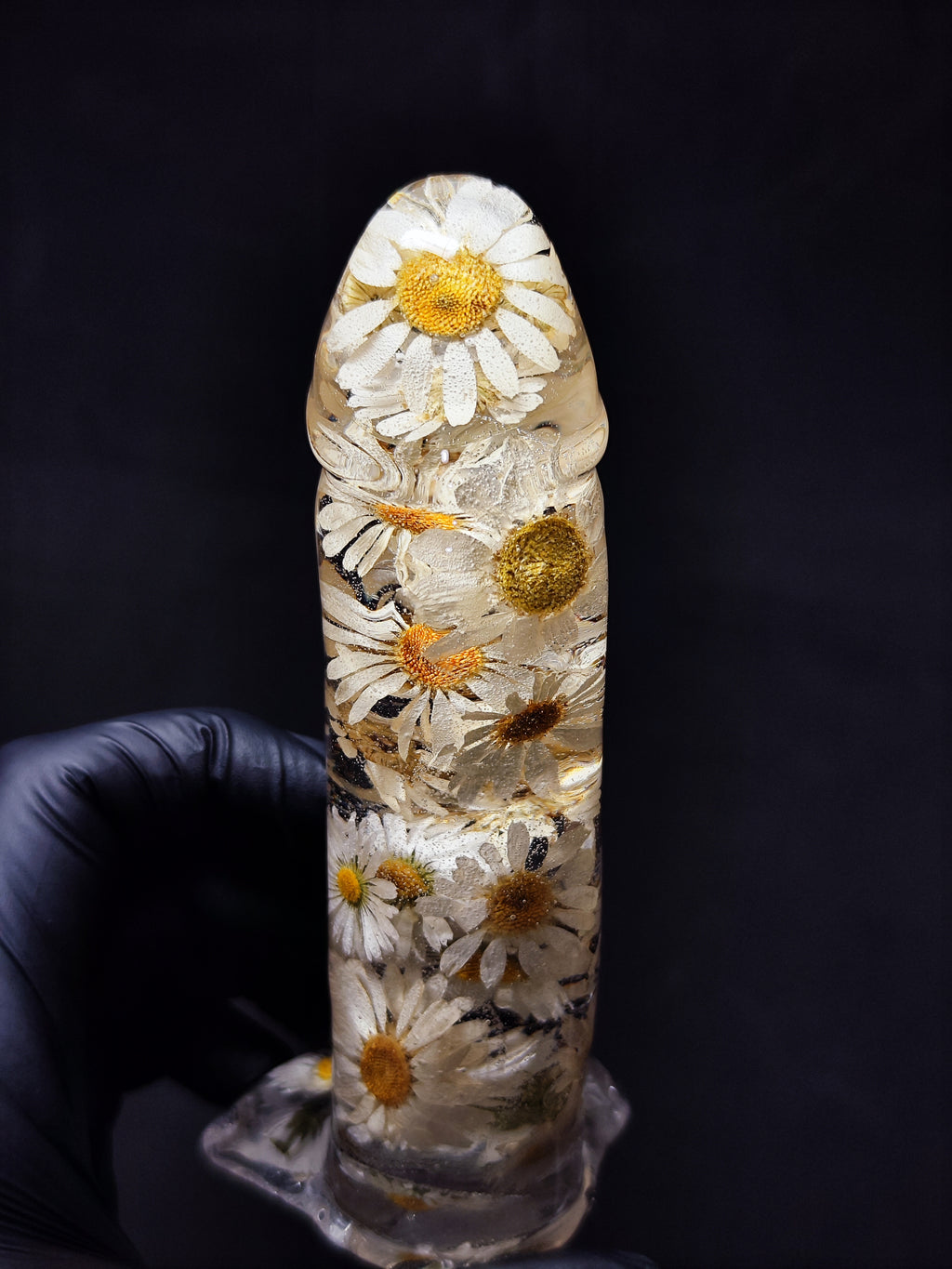 🤍Daisies(16cm|6.3in|free shipping)