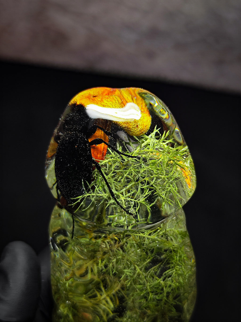 (22cm)🍄‍🟫Handmade Epoxy Resin Sculpture – “Forest Essence” Male Form with a Beetle, a Mushroom, Fern, Moss | Botanical Fantasy Décor (Adults Only)