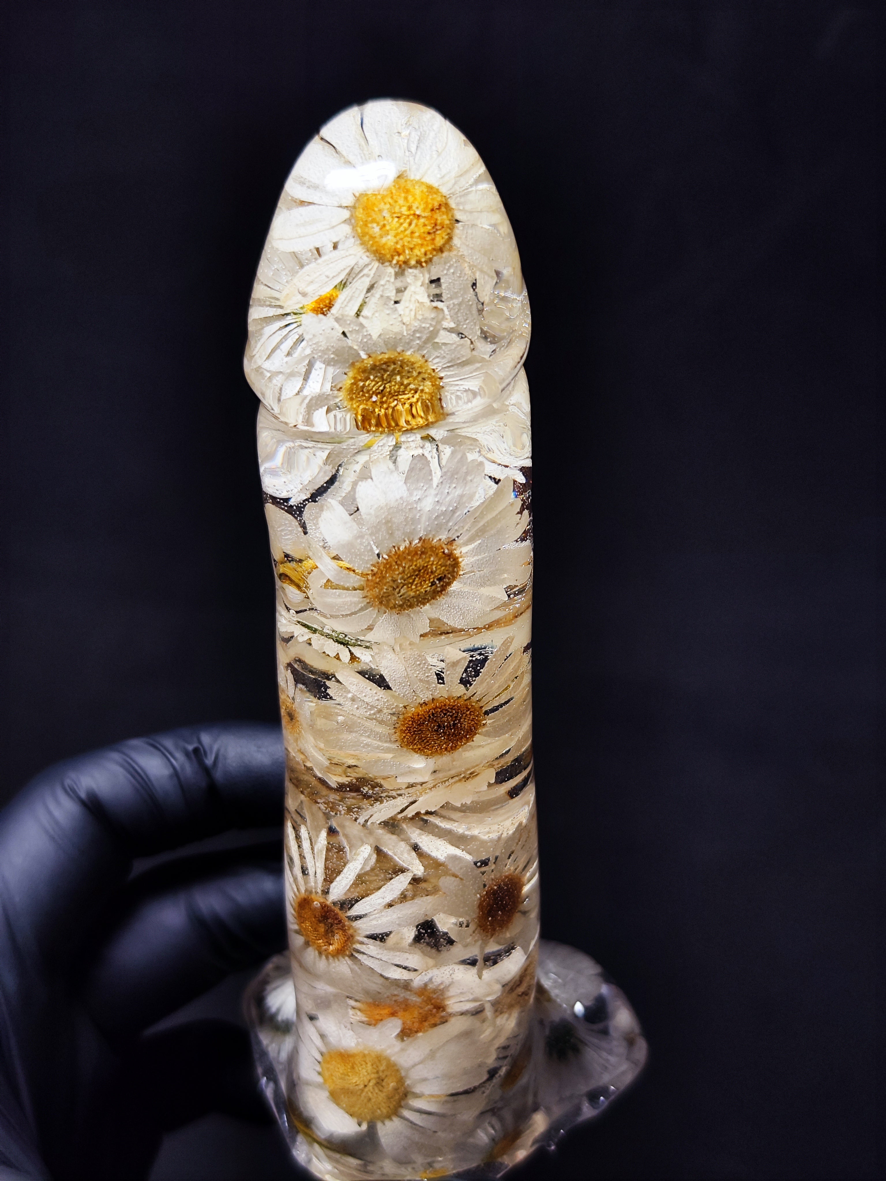 🤍Daisies(16cm|6.3in|free shipping)