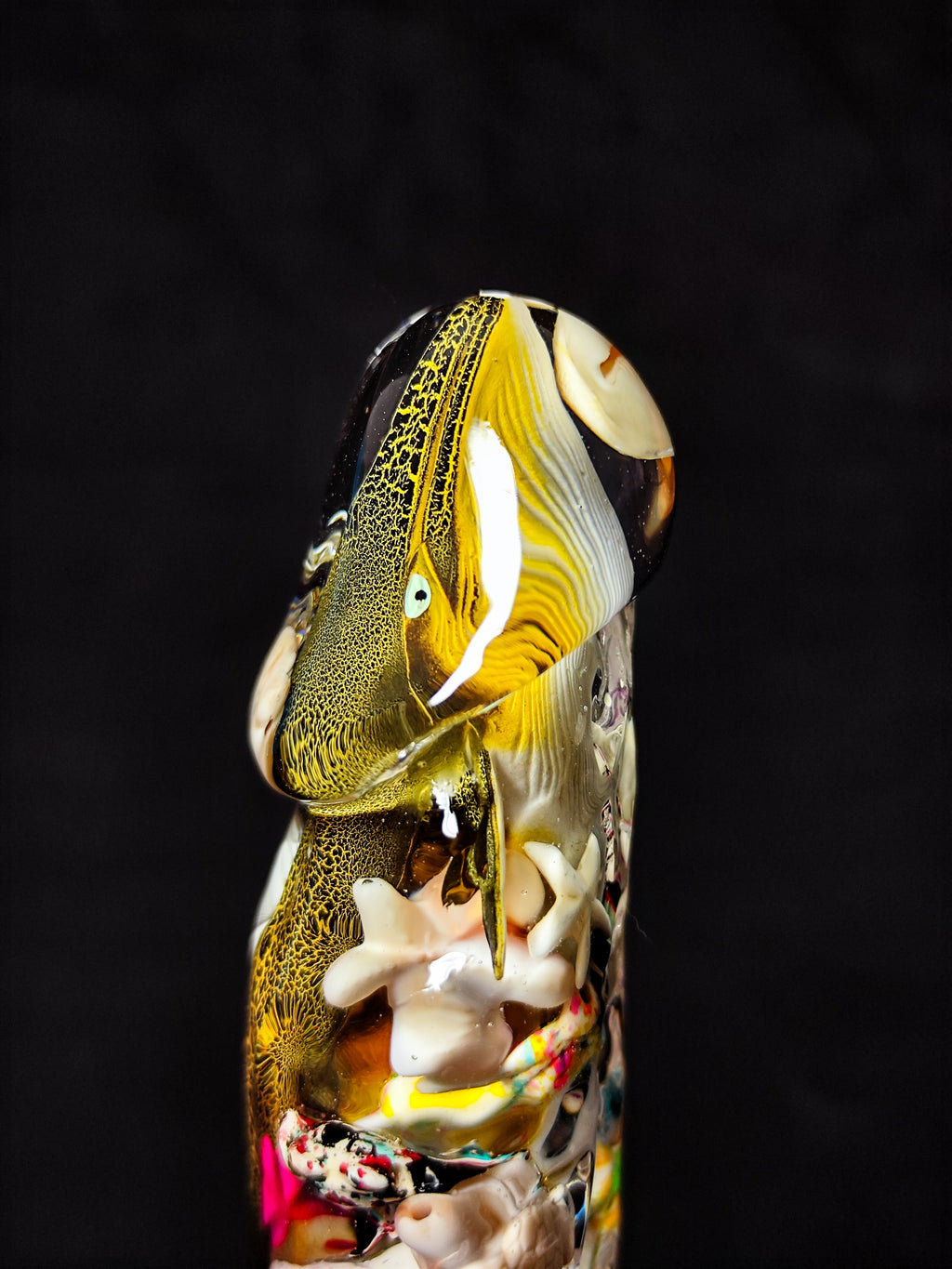 🐋🐚🐢Whale, Shells, Seashells, Starfish(22cm|8.7in|free shipping)