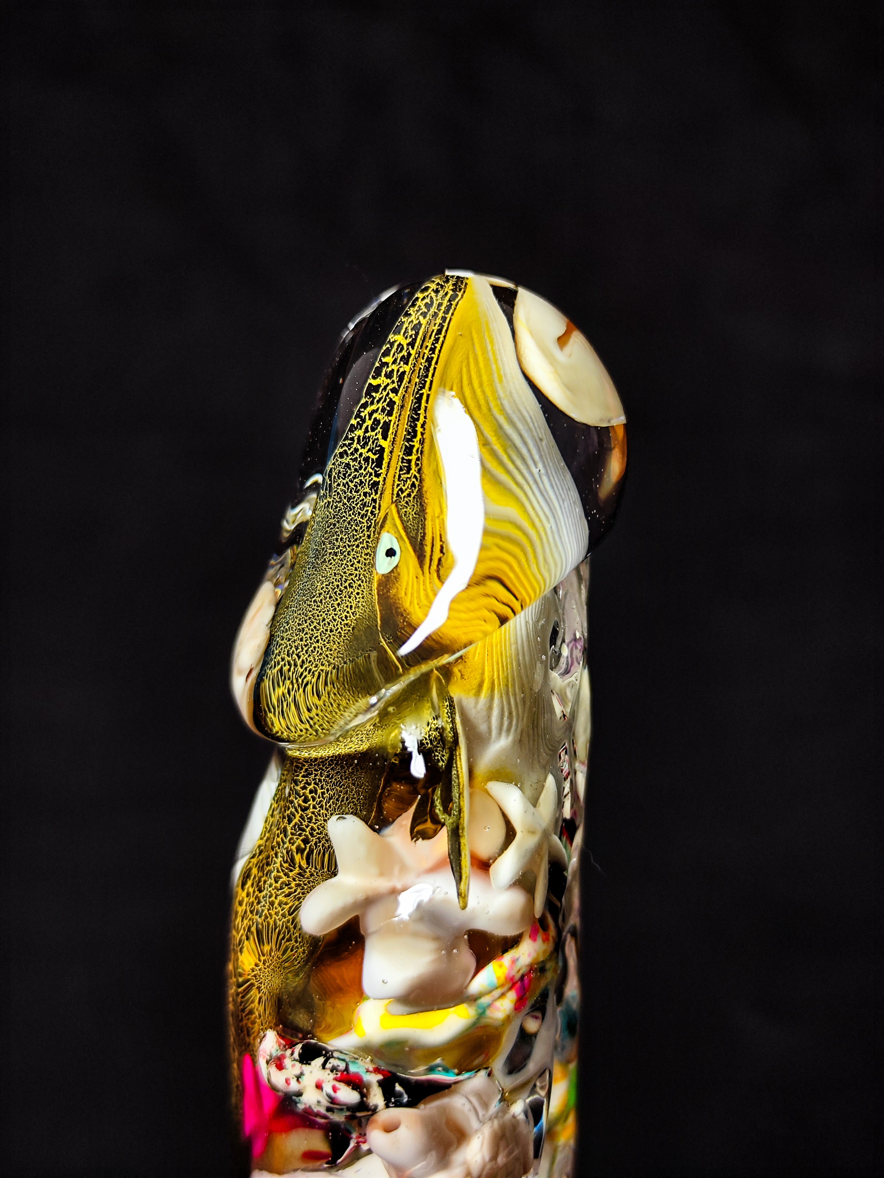 🐋🐚🐢Whale, Shells, Seashells, Starfish(22cm|8.7in|free shipping)