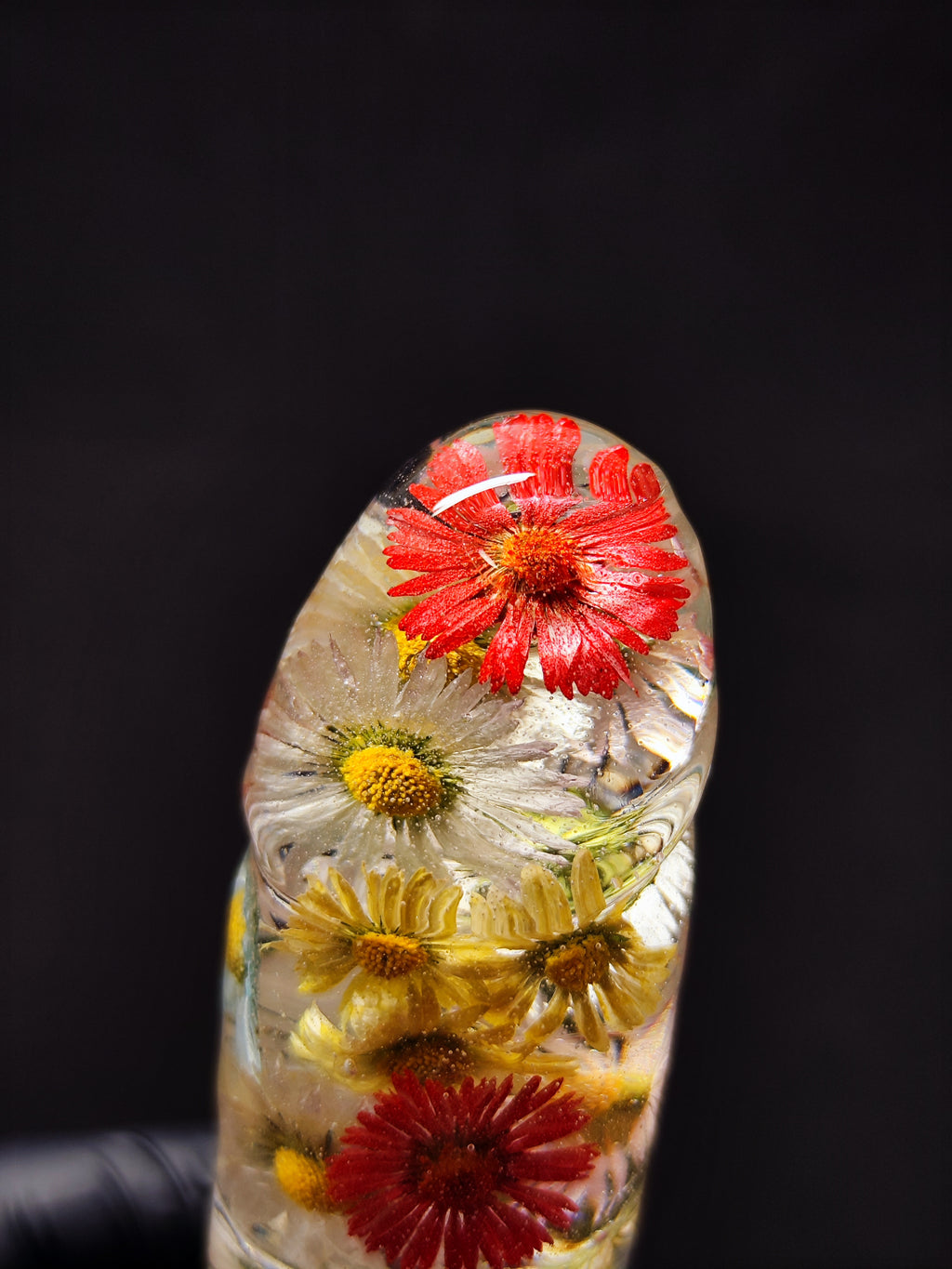 🌈Daisies(16cm|6.3in|free shipping)