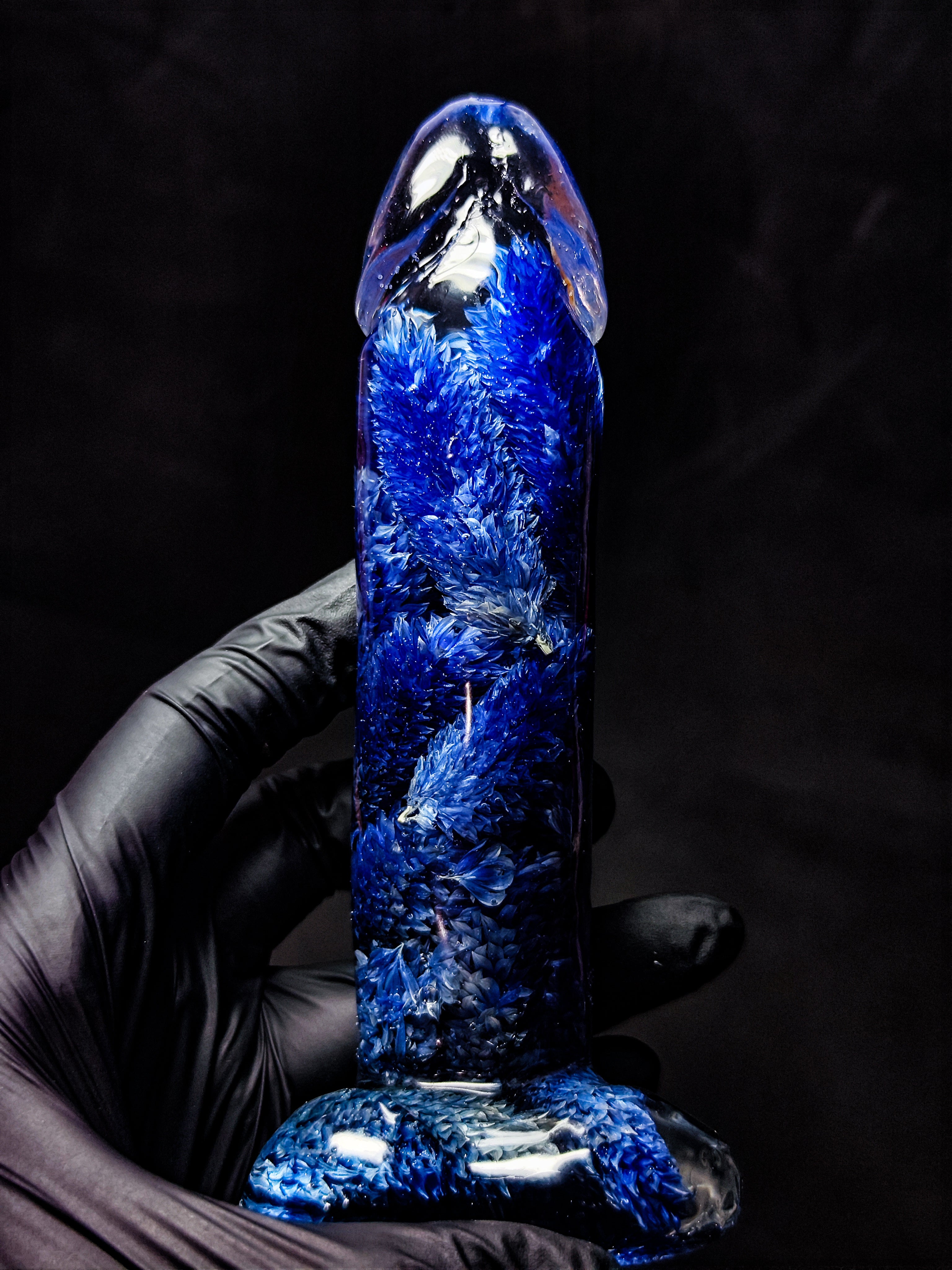 💙Phalaris(16cm|6.3in|free shipping)