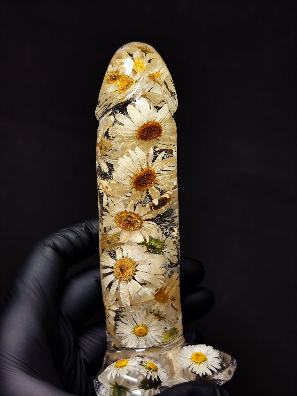 🤍Daisies(16cm|6.3in|free shipping)