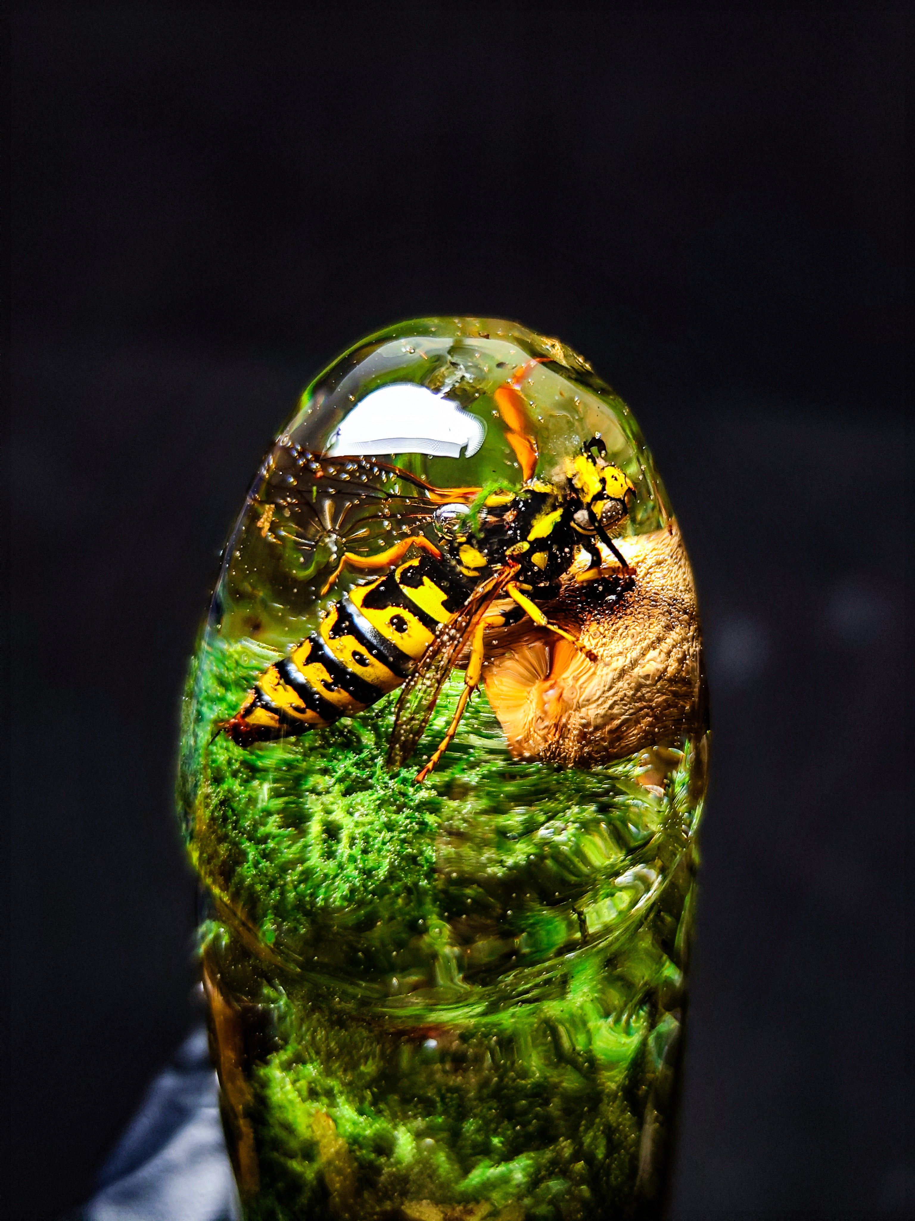 🌿🐝🍄‍🟫Handmade Epoxy Resin Sculpture with Wasp, Mushroom, Fern, Moss(16cm|6.3in|free shipping)