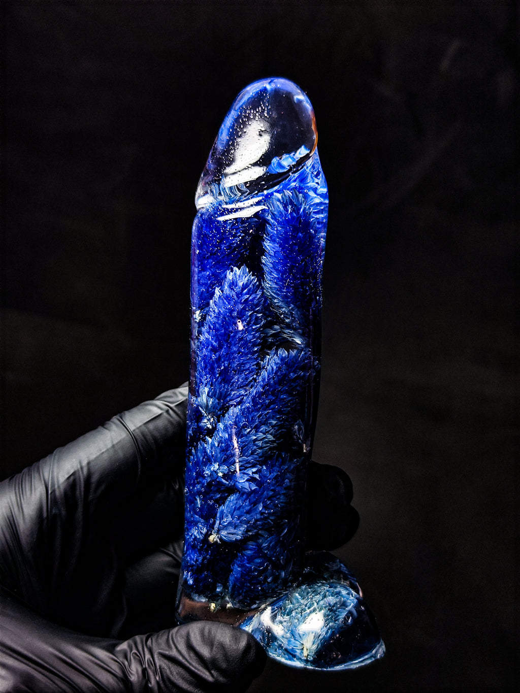 💙Phalaris(16cm|6.3in|free shipping)