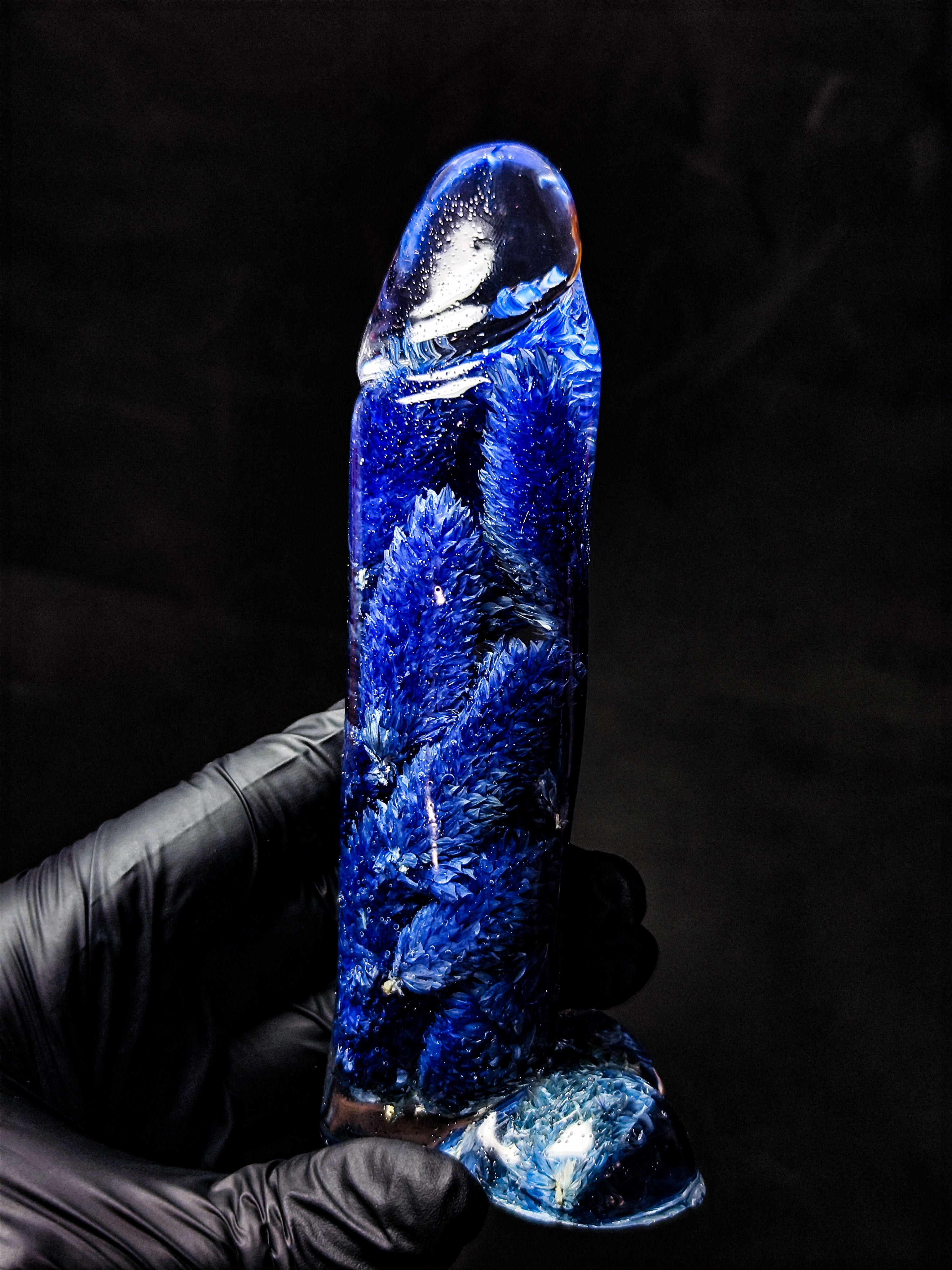 💙Phalaris(16cm|6.3in|free shipping)