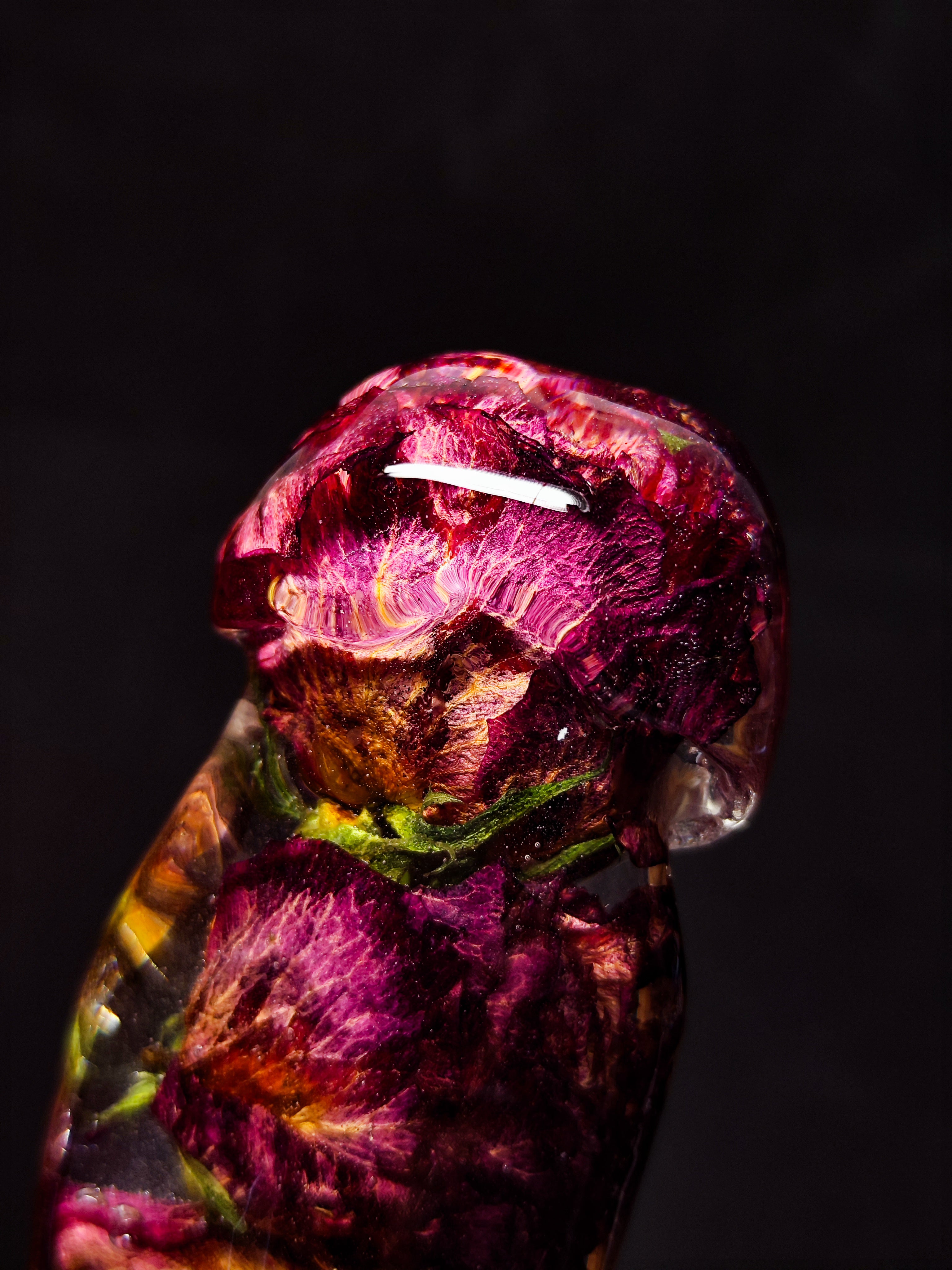 🌈Roses(24cm|9.5in|free shipping)