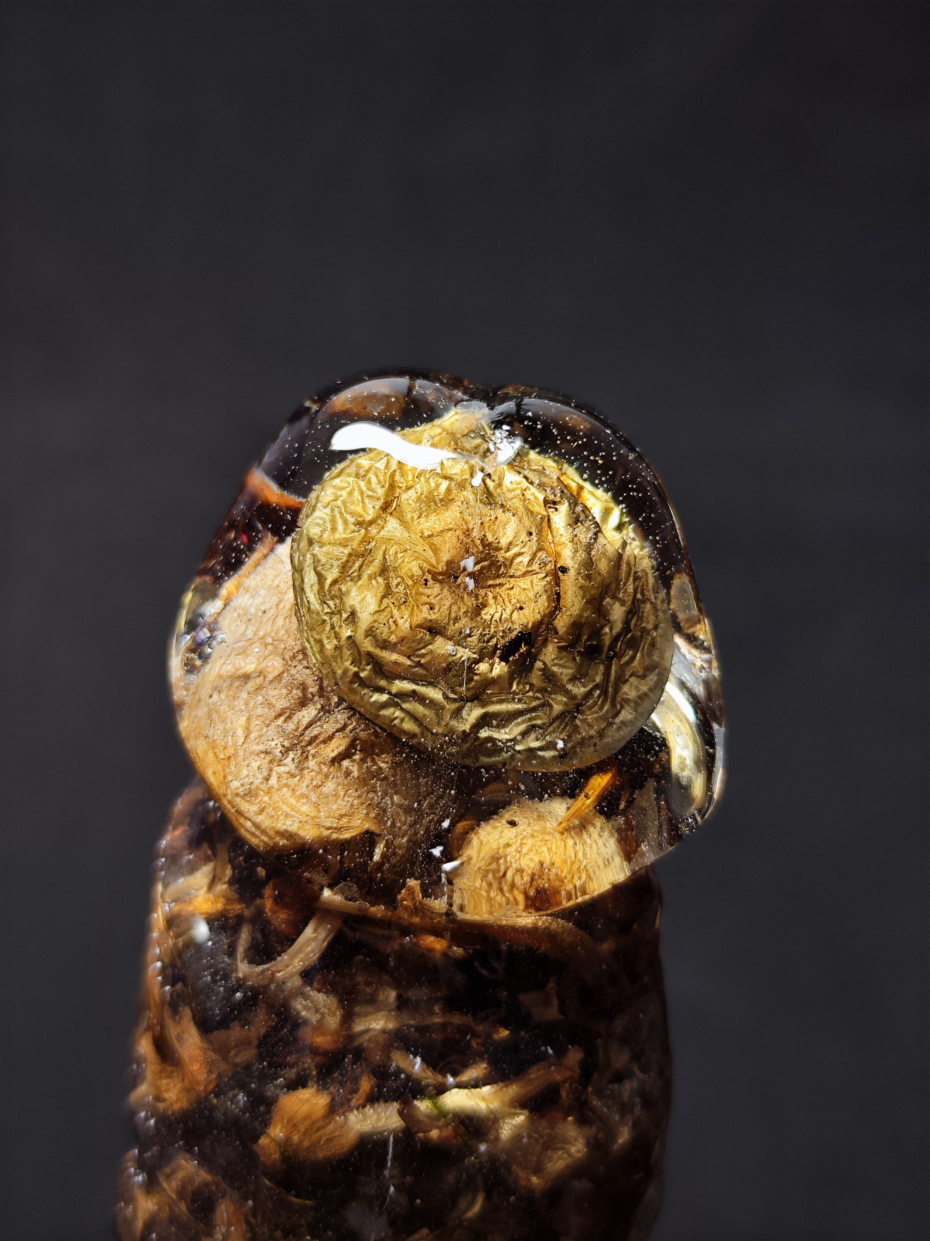 🍄Mushrooms(24cm|9.5in|free shipping)