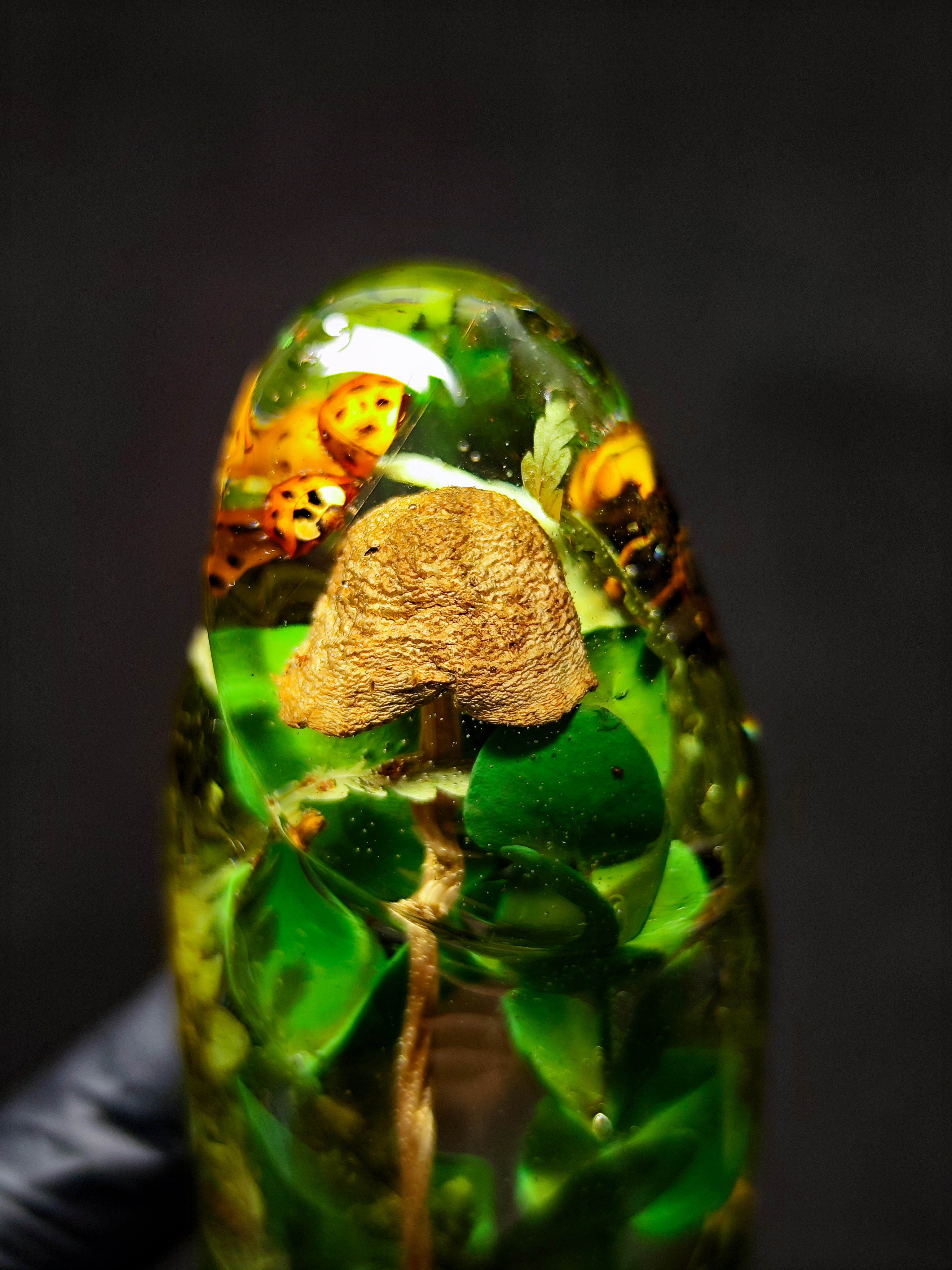 🌿🐝🍄‍🟫🐞Handmade Epoxy Resin Sculpture with Wasp, Ladybug, Mushroom, Fern, Moss(16cm|6.3in|free shipping)