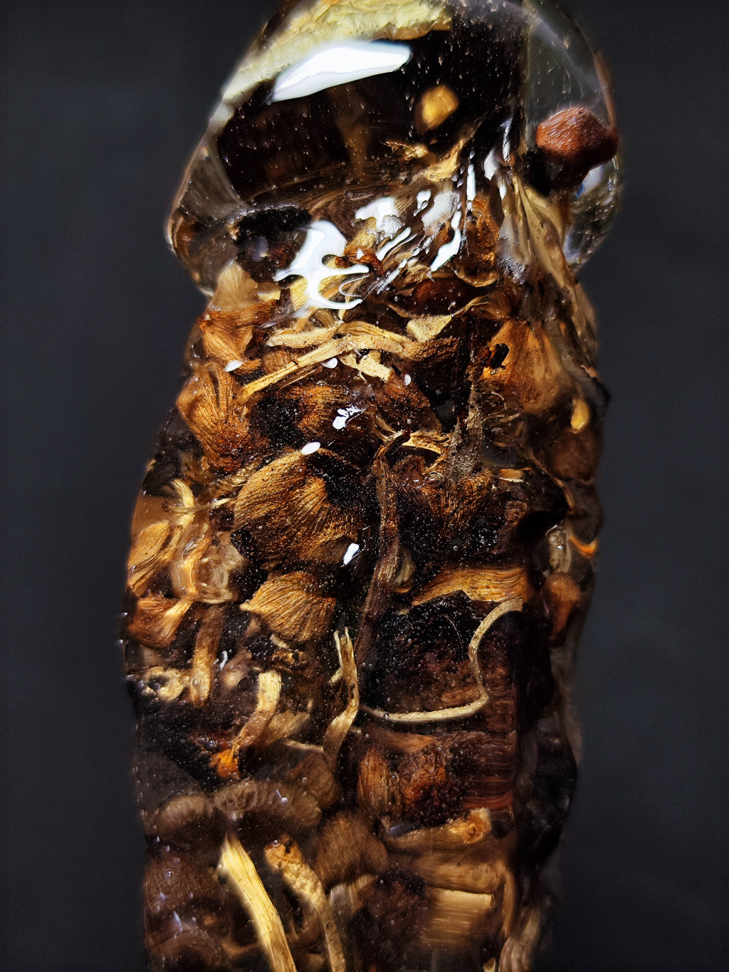 🍄Mushrooms(24cm|9.5in|free shipping)