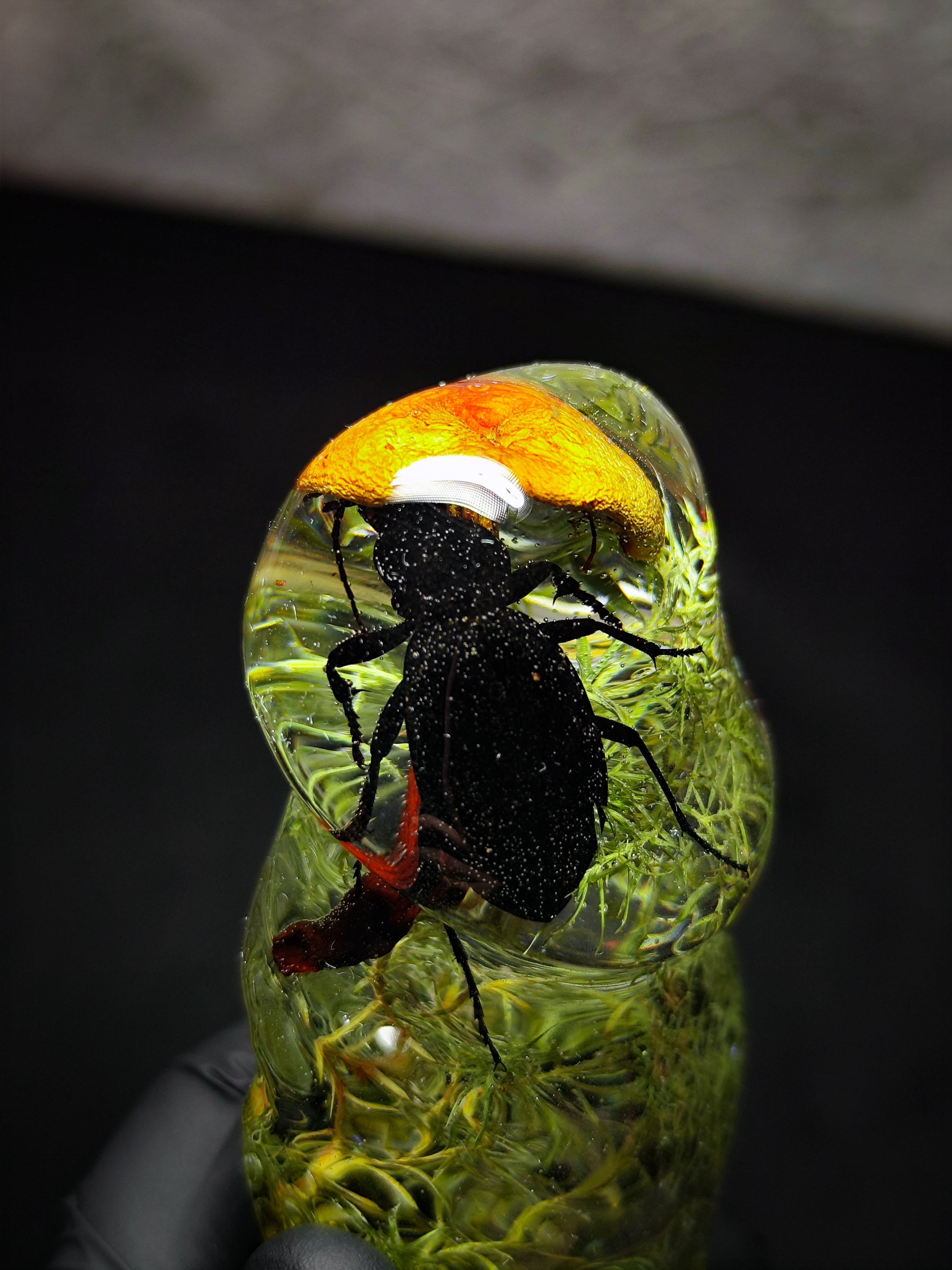 (22cm)🍄‍🟫Handmade Epoxy Resin Sculpture – “Forest Essence” Male Form with a Beetle, a Mushroom, Fern, Moss | Botanical Fantasy Décor (Adults Only)